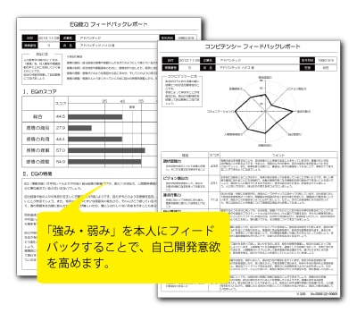 適正検査インサイトの結果レポート