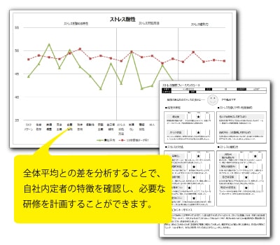 適正検査インサイトの結果レポート