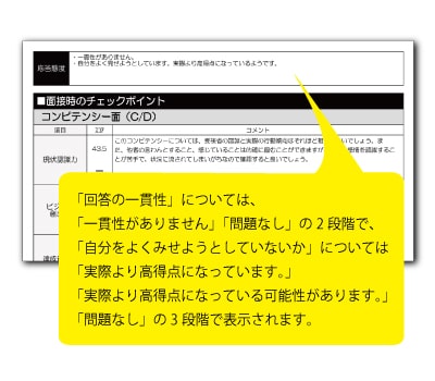 適正検査インサイトの結果レポート