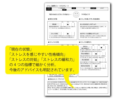 適正検査インサイトの結果レポート