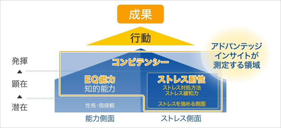 適正検査インサイトの全体像